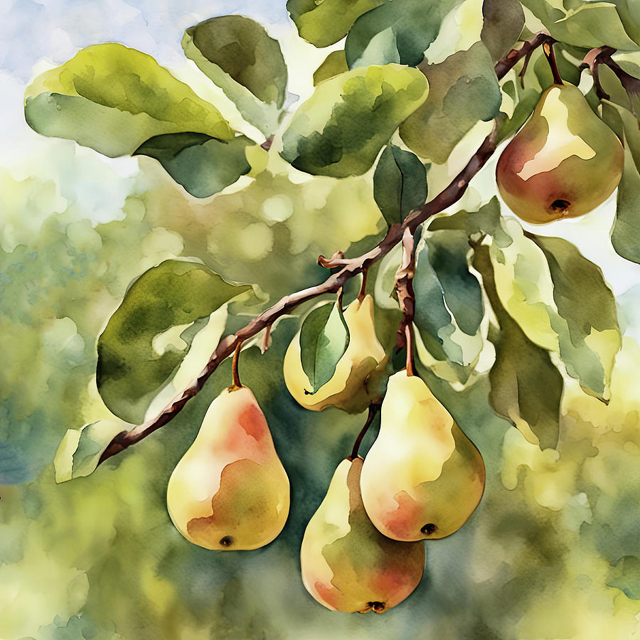Golden Pears On The Tree Digital Art by HH Photography of Florida