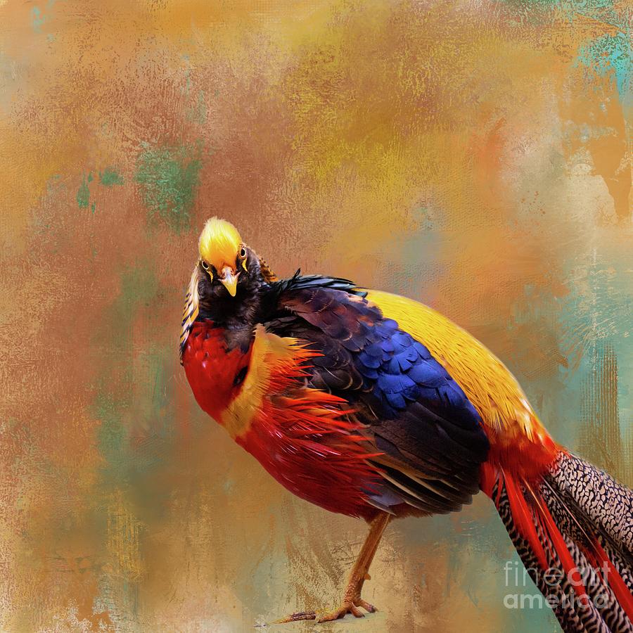 Wildlife Photograph - Golden Pheasant by Eva Lechner
