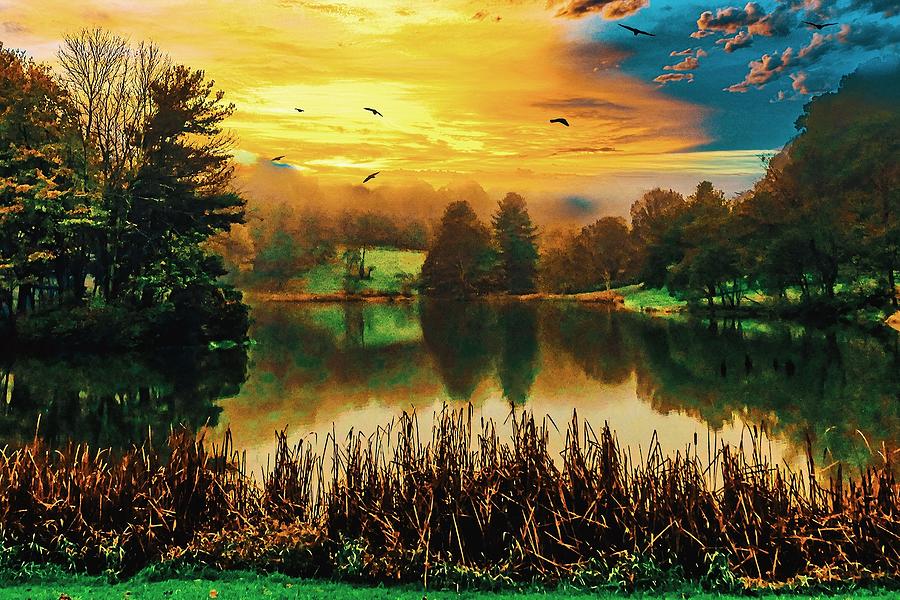 Golden Pond Digital Art by Don Wright