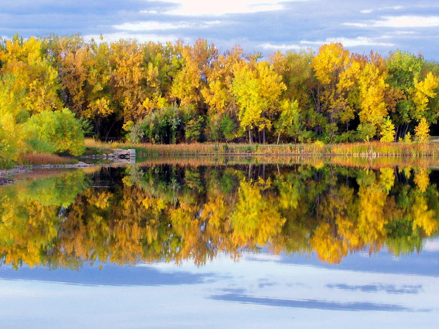 Golden Ponds #2 Photograph by Dan Gilliam - Fine Art America