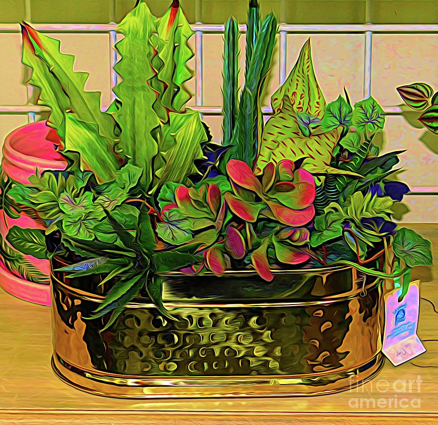 Golden Potted Succulent Garden Abstract Expressionism Effect Photograph by Rose Santuci-Sofranko