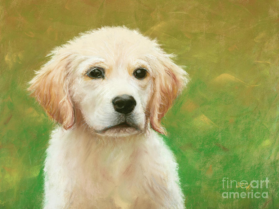 Nature Painting - Golden Puppy by Susan Cunniff