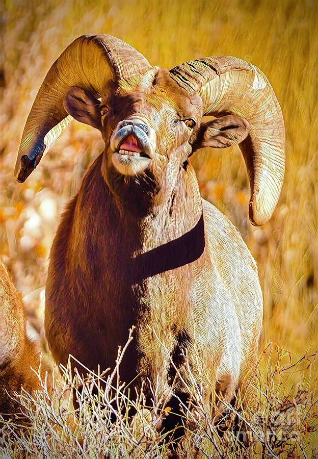Golden Ram  Digital Art by Dlamb Photography