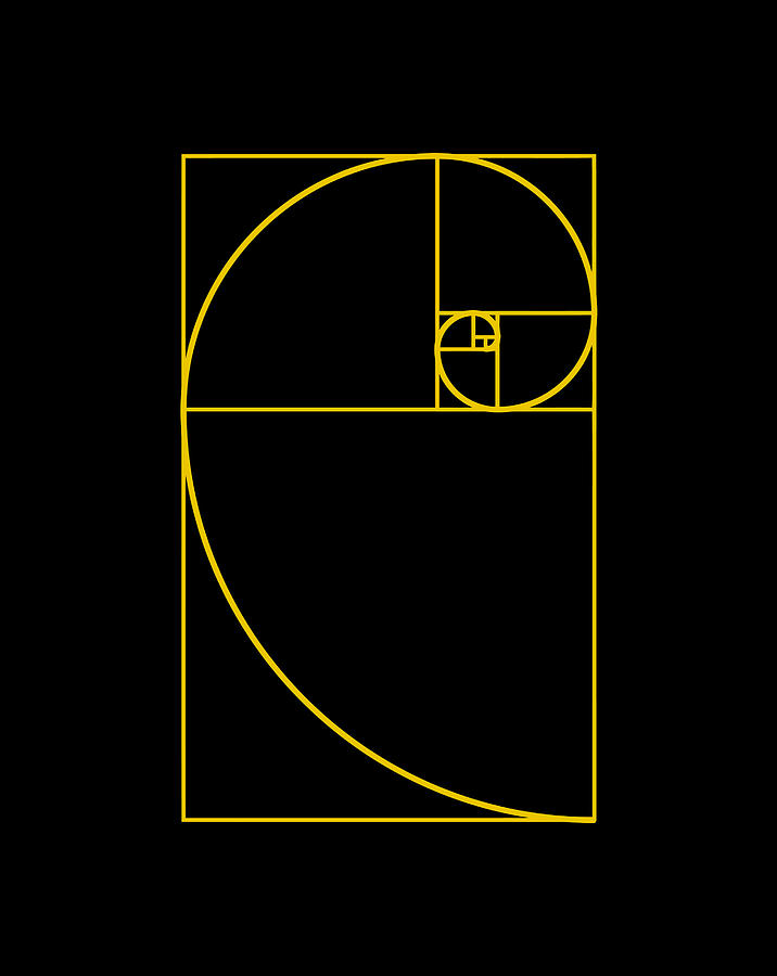 Golden Ratio Fibonacci Spiral Digital Art by Naomi Carter