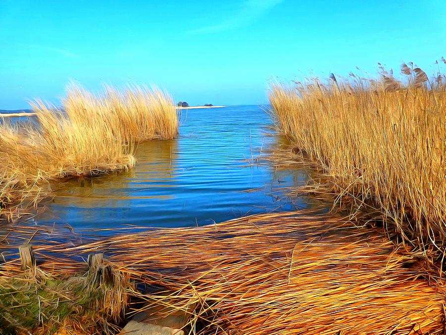 Golden reed and blue water Digital Art by Ralph Kaehne