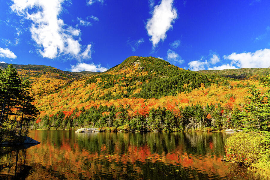 Golden Reflections of Fall Photograph by NorthEast Creativity Golden Reflections of Fall Photograph by NorthEast Creativity