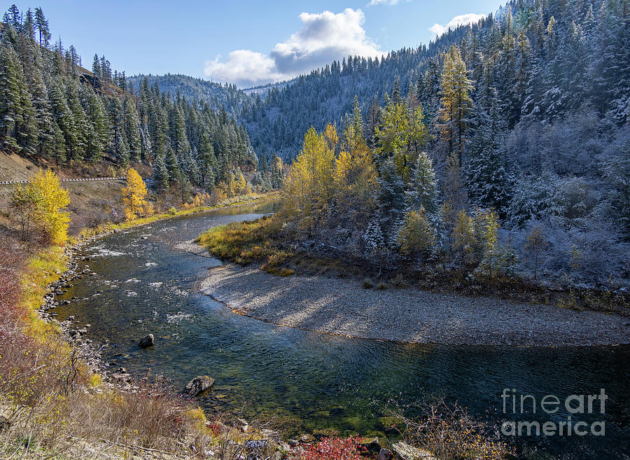 Fall Photograph - Golden Remnants by Idaho Scenic Images Linda Lantzy
