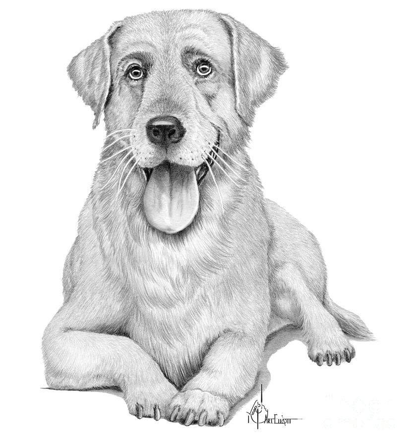 golden retriever puppy, cartoon drawing - AI Generated Artwork - NightCafe  Creator