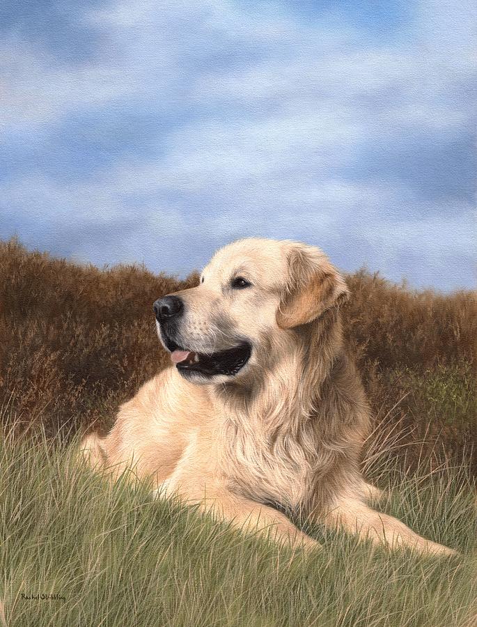 Nature Painting - Golden Retriever Painting by Rachel Stribbling