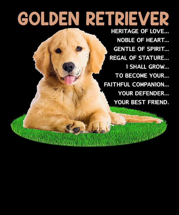 Golden retriever positive descriptions Digital Art by JM Print Designs ...