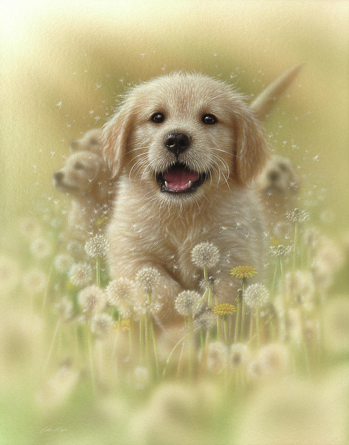 Golden Retriever Puppy - Dandelions Painting by Collin Bogle