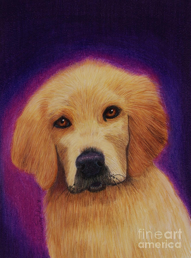 Golden Retriever Puppy Painting by Dorothy Lee