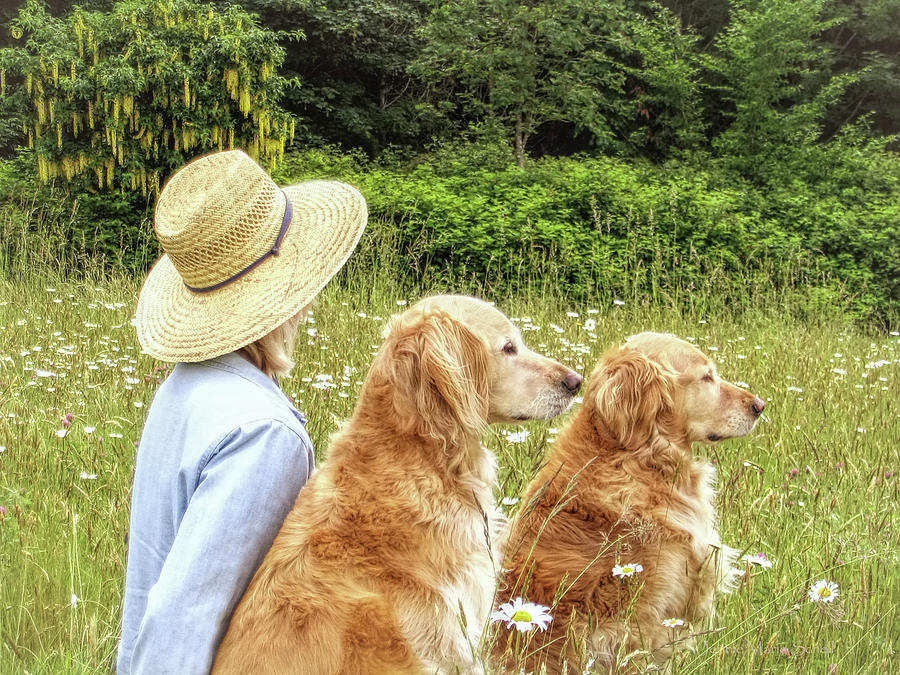 Golden Retrievers and Lady with the Hat Photograph by Jennie Marie Schell