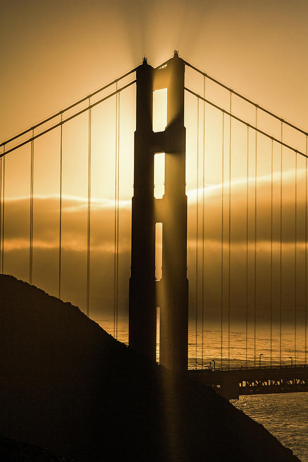 Golden Reyes Photograph by Jason Ross - Fine Art America