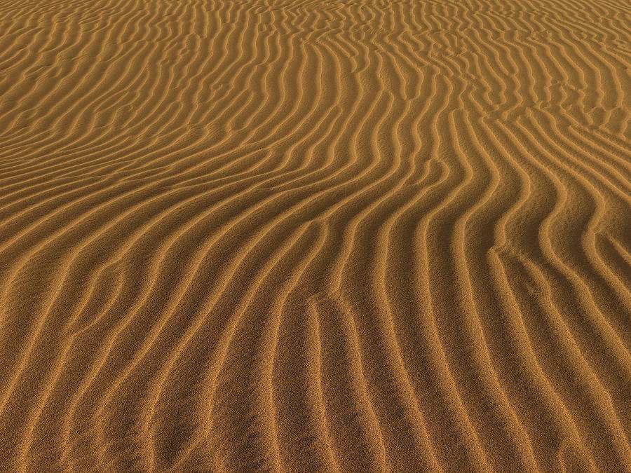 Golden Ripples of Sand Photograph by Kathrin Poersch