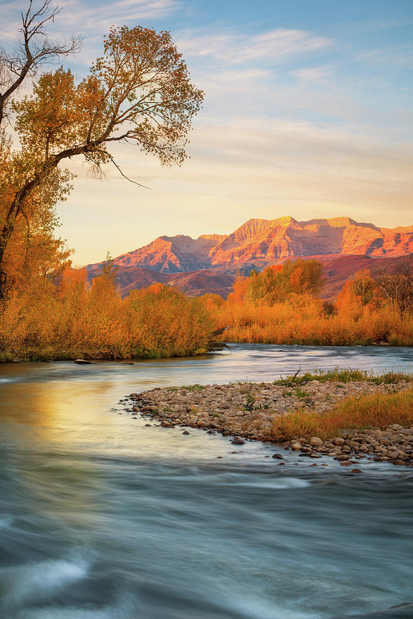 Provo Photograph - Golden River Bend Vertical by Wasatch Light