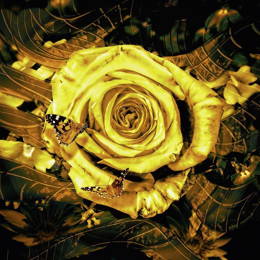 Golden Rose in Waves Digital Art by Helga Blanke | Pixels