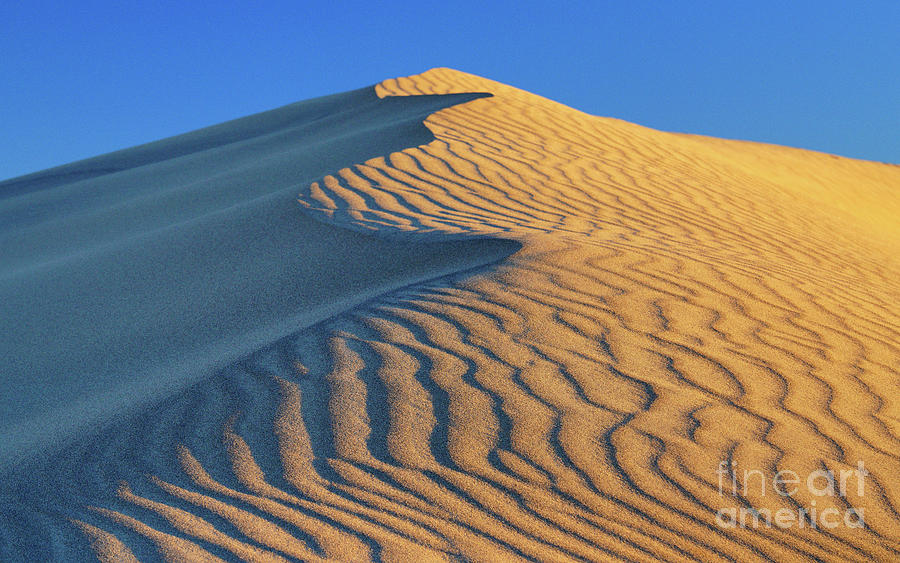 Golden Sand Dune in Death Valley Photograph by Benedict Heekwan Yang