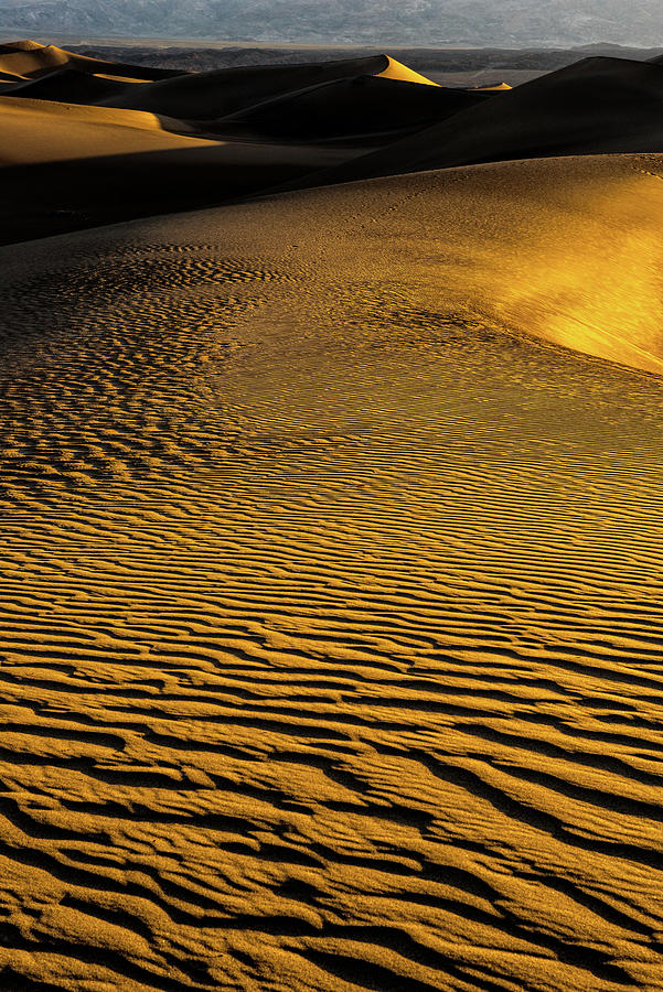 Golden Sand Photograph by George Buxbaum