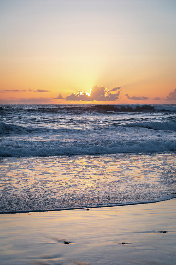 Golden Sea  Photograph by Steven Clark