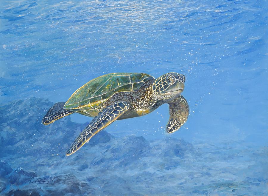 Golden Sea Turtle Painting by David Stribbling