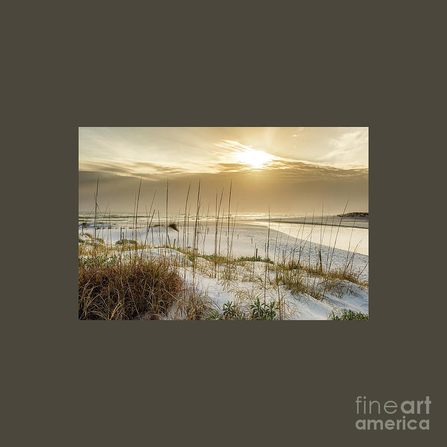 Golden Seagrove Beach Sunset Drawing By Roland G Dombroski - Fine Art ...