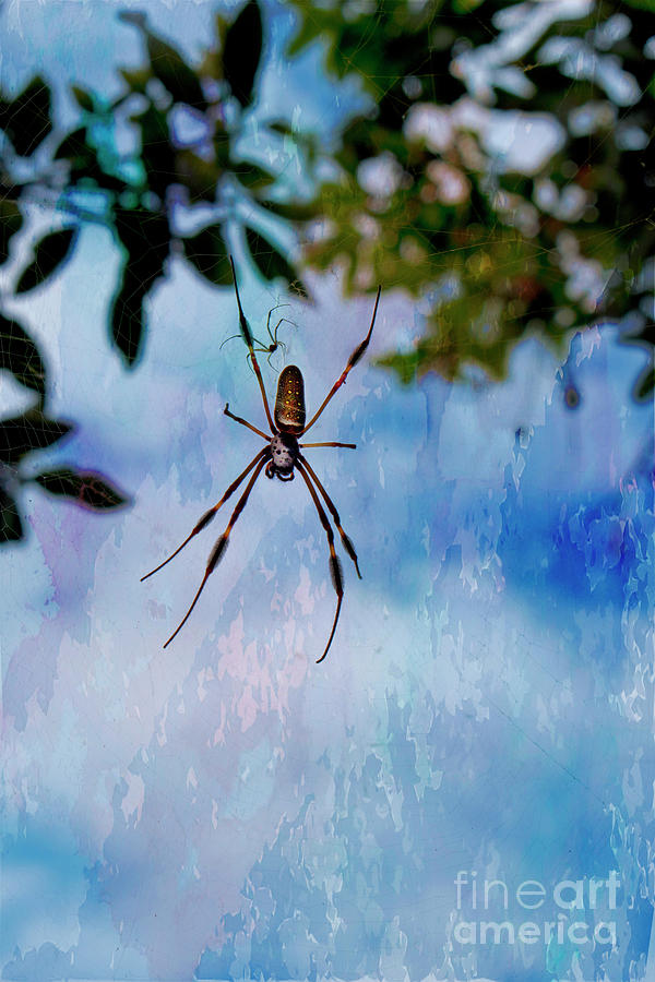 Golden Silk Spider Pair Photograph by Al Bourassa