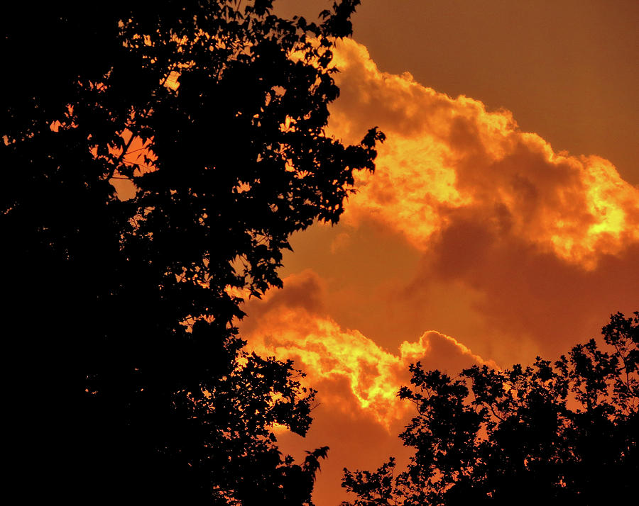 Golden Sky Photograph by Linda Stern