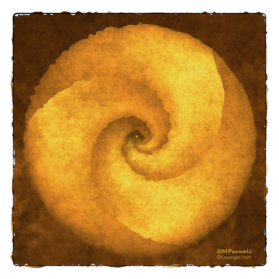 Golden Spiral Digital Art by Diane Parnell