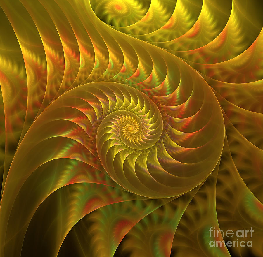 Golden spiral. Digital Art by Larissa Antonova | Fine Art America