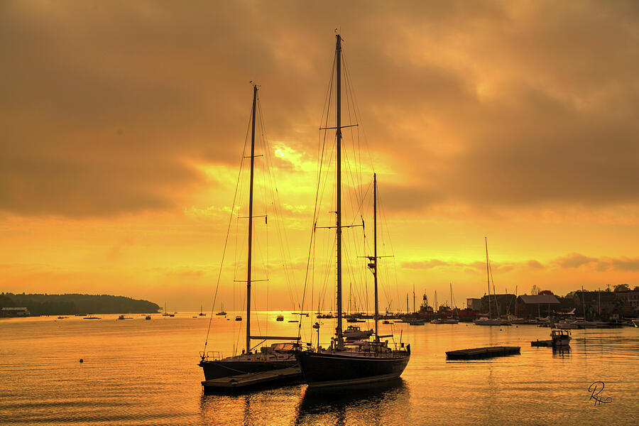 Golden Stillness Photograph by Robert Harris