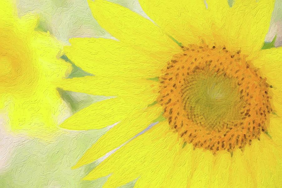 Golden Sunflower Painting Photograph by Carolyn Ann Ryan