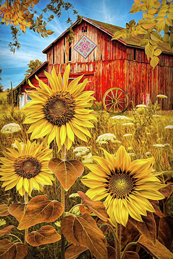 Golden Sunflowers Red Barn Painting Photograph by Debra and Dave Vanderlaan