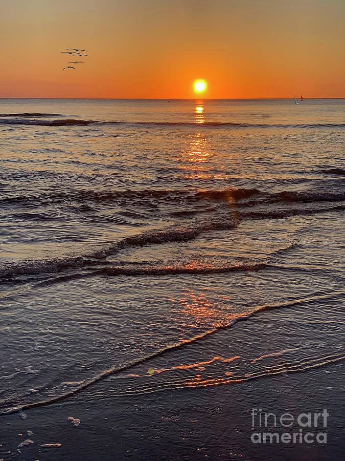 Golden Sunrise a New Day Photograph by David Zanzinger
