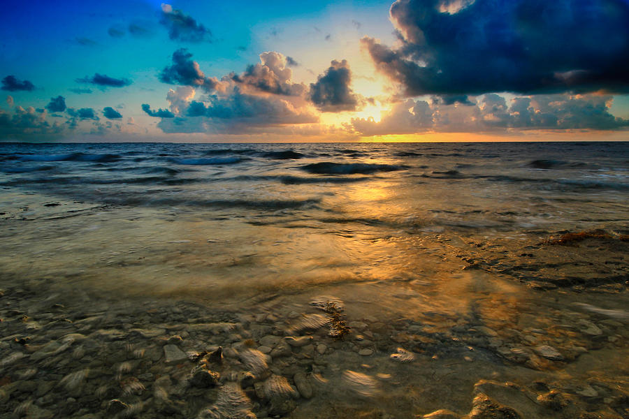 Golden Sunrise Photograph by Montez Kerr