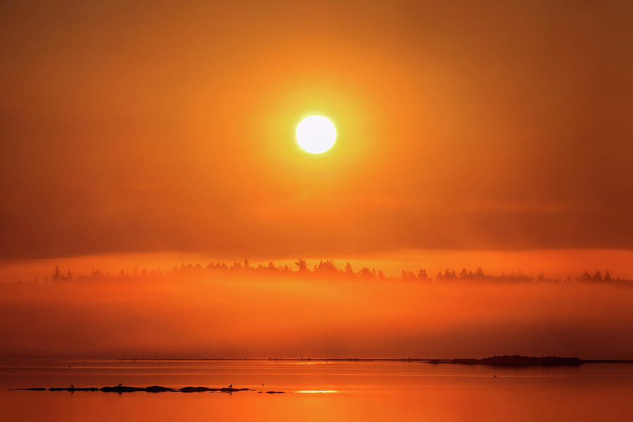 Acadia Sunrise a5837 Photograph by Greg Hartford