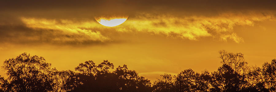 Golden Sunrise Panorama Photograph by Mary Ann Artz