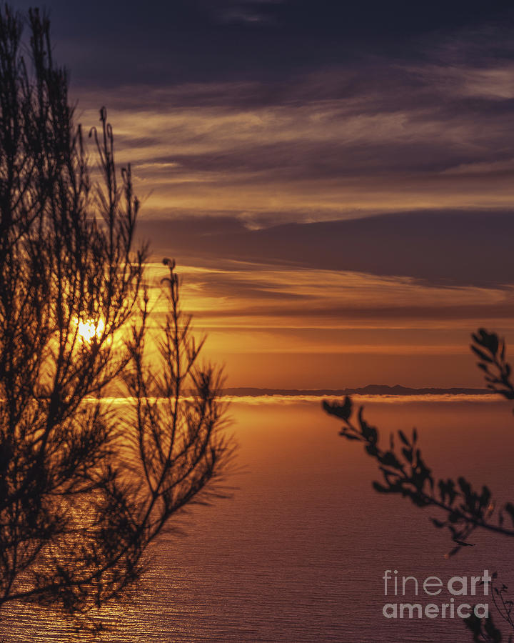 Golden sunset Art Print Photograph by Abigail Diane Photography