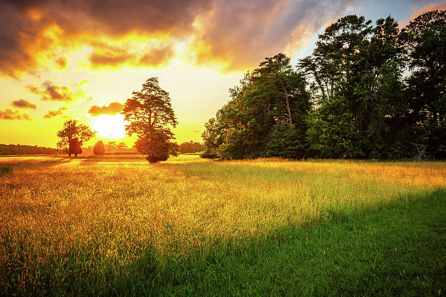 Golden Sunset at Yorktown Battlefield Photograph by Rachel Morrison Golden Sunset at Yorktown Battlefield Photograph by Rachel Morrison