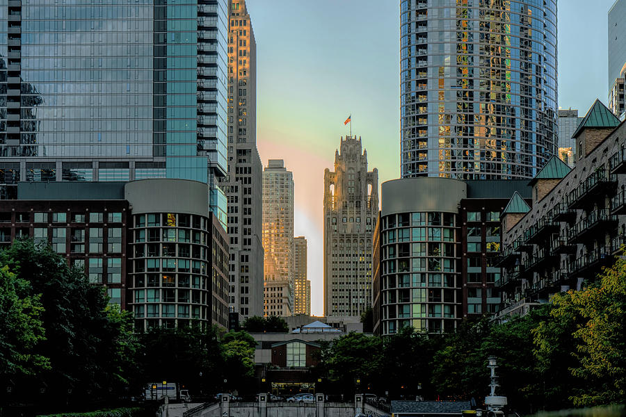 Golden Sunset Chicago Photograph by Sharon Popek