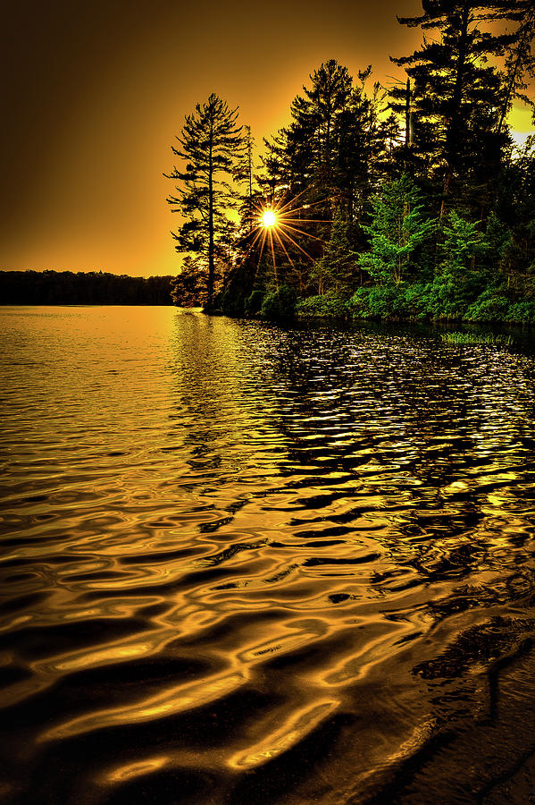 Golden Sunset Photograph by David Patterson