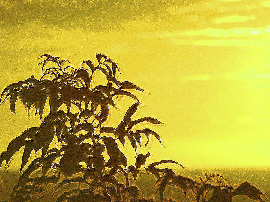 Golden Sunset in Grenada Digital Art by Island Hoppers Art