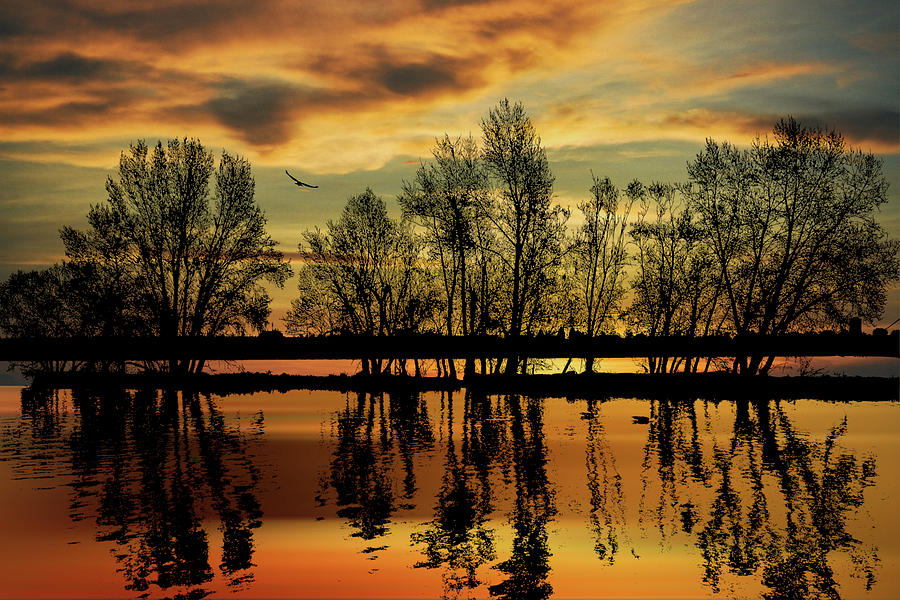 Golden Sunset Photograph by James DeFazio