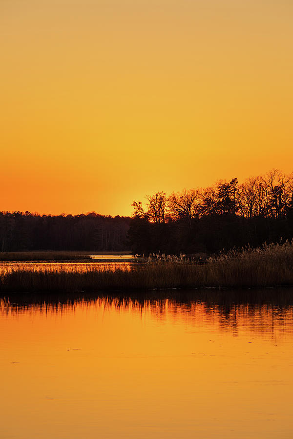 Golden Sunset Photograph by Lara Morrison