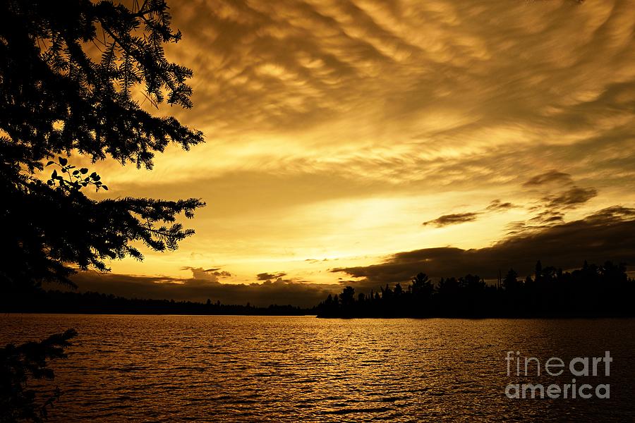 Golden Sunset Photograph by Larry Ricker