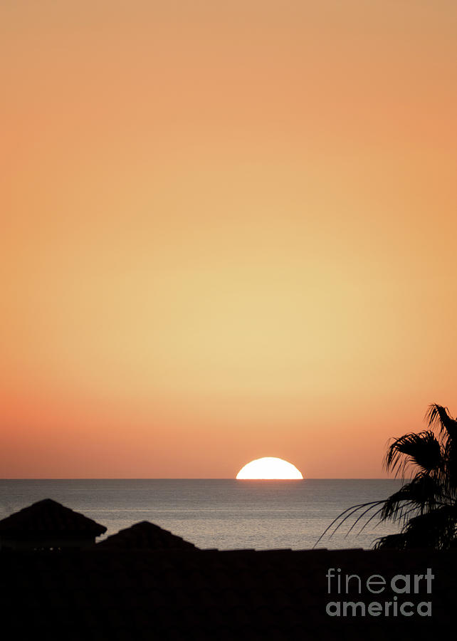 Golden Sunset Photograph by Lynn Bolt