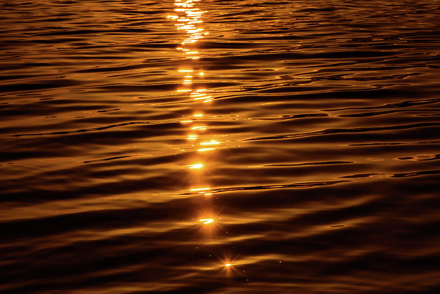 Golden Sunset Photograph by Naomi Maya