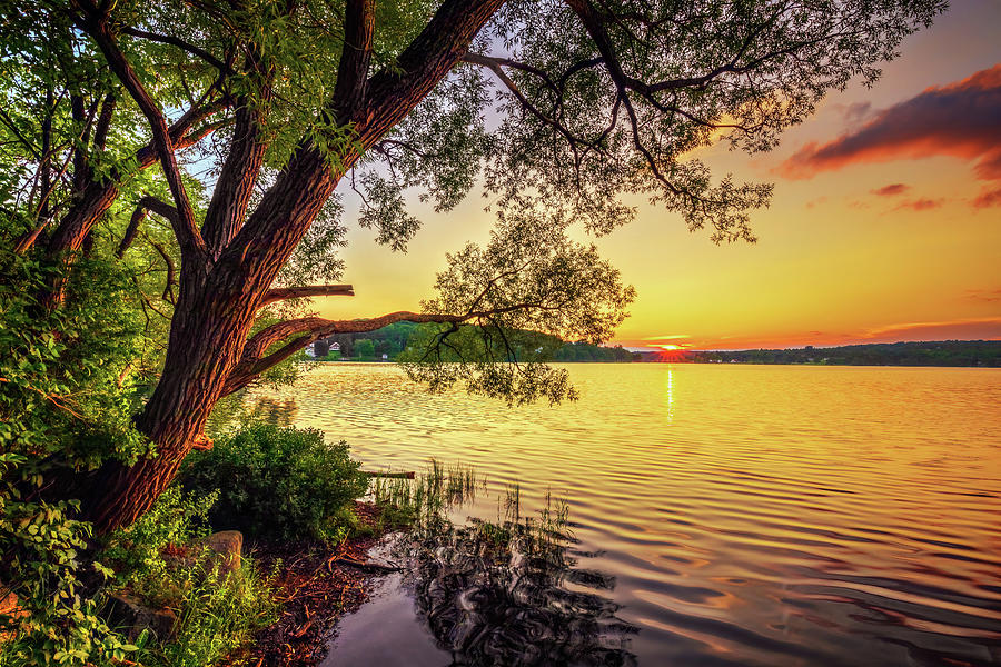 Golden Sunset on Maine Lake A6267 Photograph by Greg Hartford