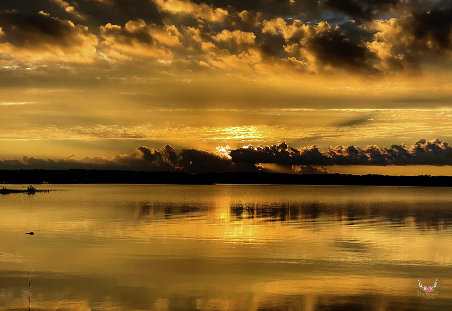 Golden Sunset Photograph by Pam Rendall