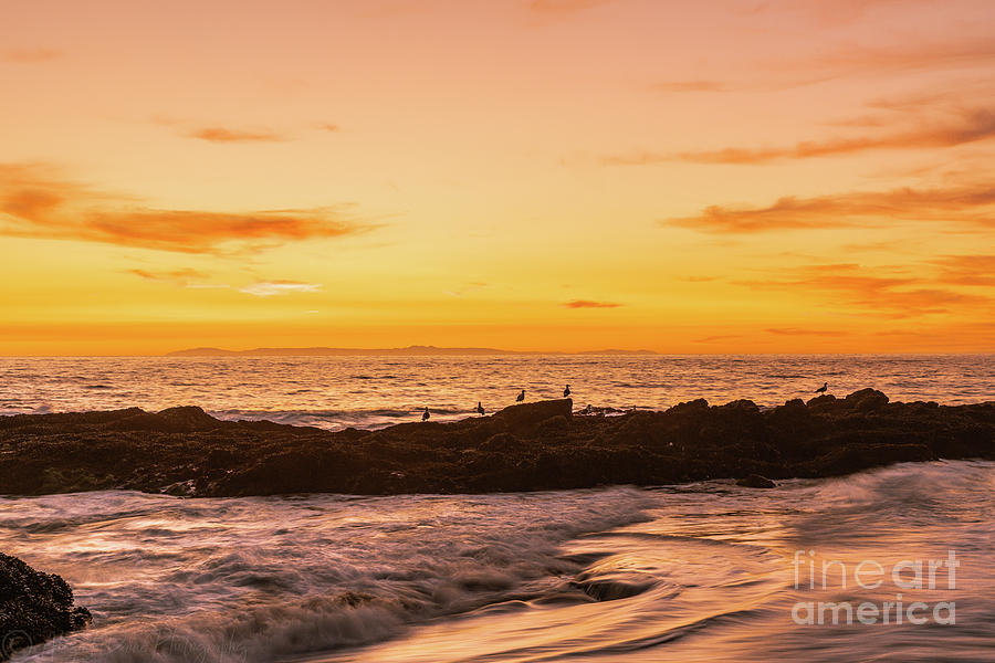  Golden Sunset Seascape California Photograph by Abigail Diane Photography